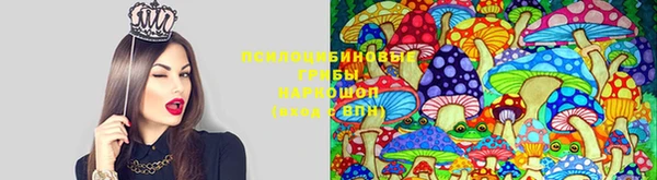 круглые Зеленокумск
