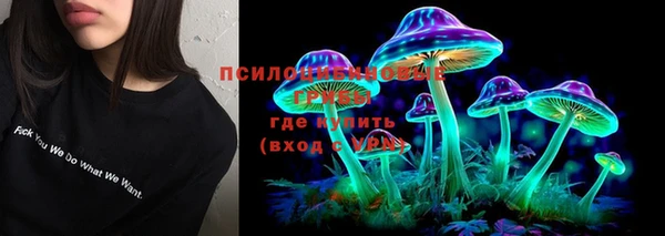 хмурый Зерноград