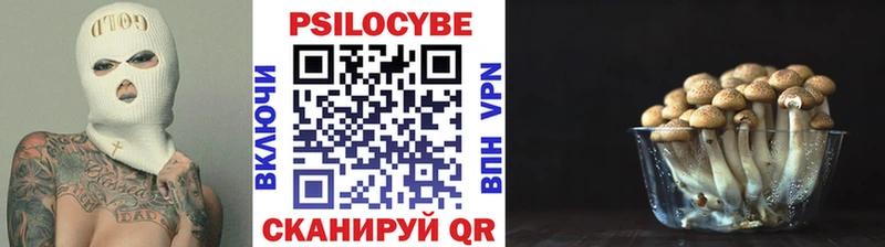 Купить  Подольск  Псилоцибиновые грибы прущие грибы 